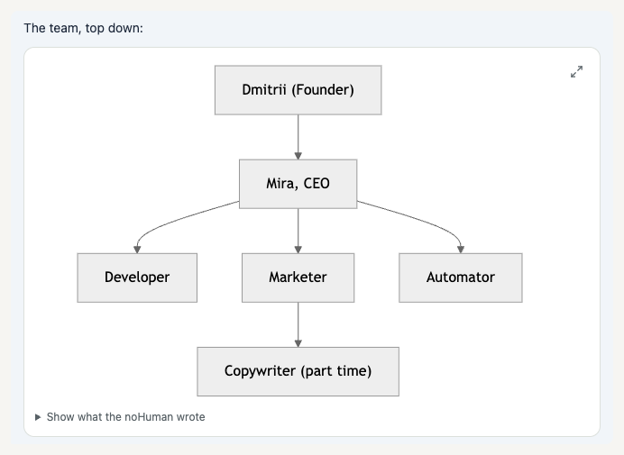 Org chart: Dmitrii (Founder) over Mira, CEO, who leads a Developer, a Marketer and an Automator